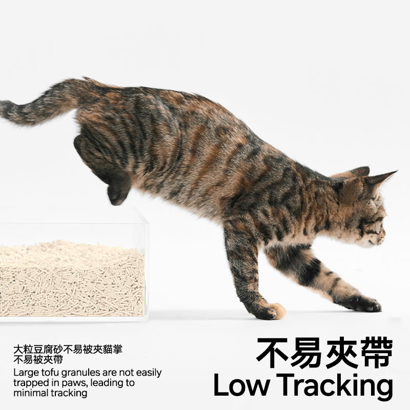Cat walking on a white background with text about low tracking cat litter.