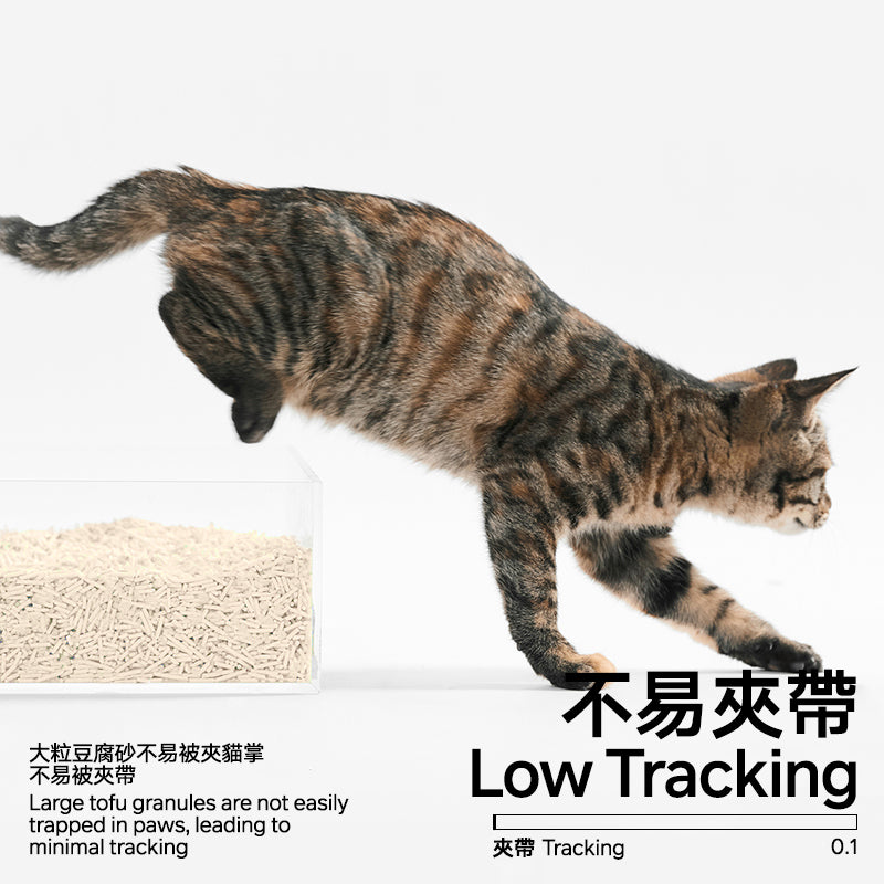 Cat walking on a white background with text about low tracking cat litter.