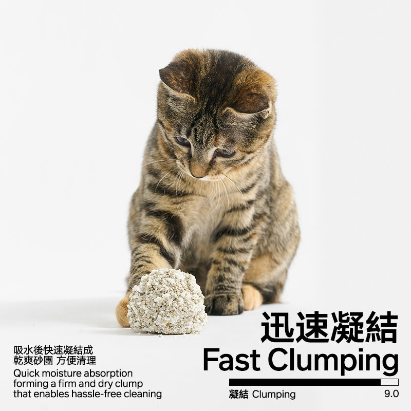 木薯膨潤土40%:60%混合貓砂（4包裝）
