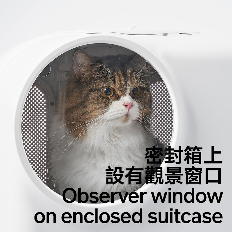 新風寵物出行箱（義賣）